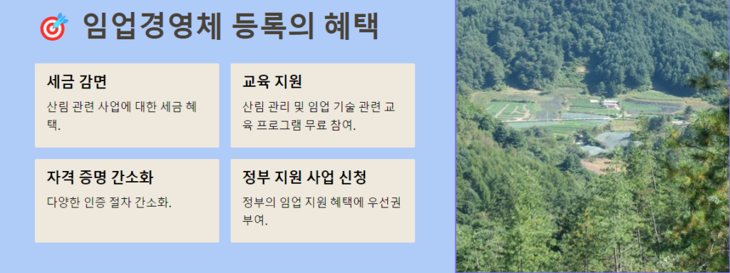 임업경영체  등록의 혜택