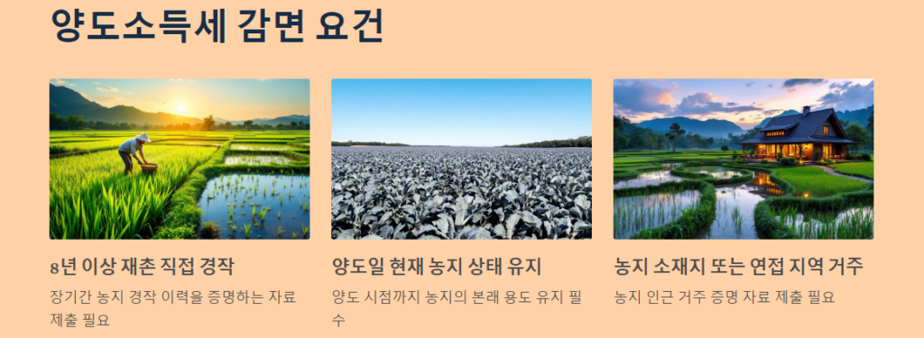양도소득세 감면 요건