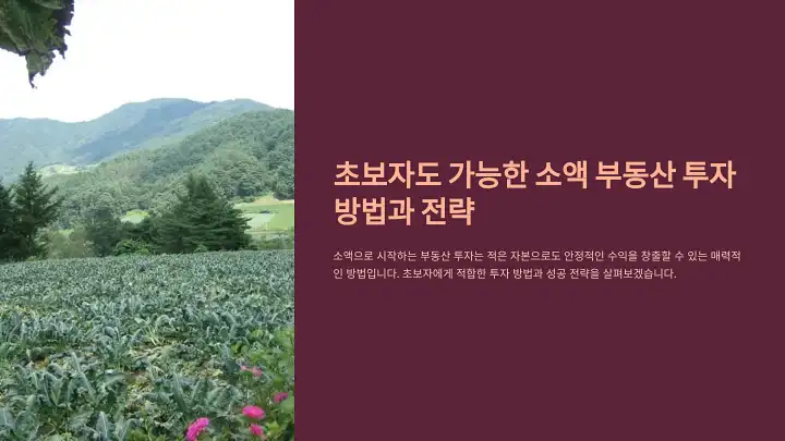 초보자도 가능한 소액 부동산 투자 방법과 전략