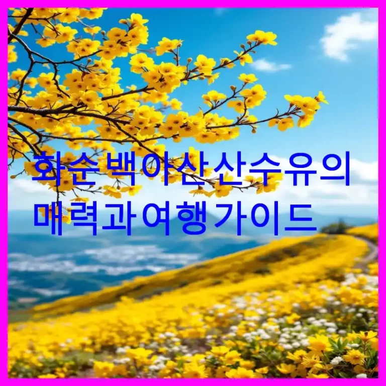 화순 백아산 산수유의 매력과 여행 가이드
