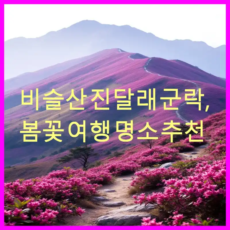 비슬산 진달래 군락, 봄꽃 여행 명소 추천