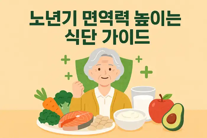 노년기 면역력 높이는 식단 가이드
