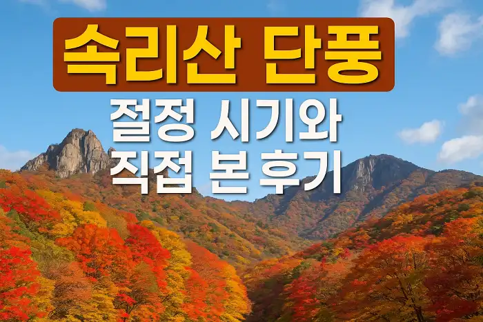 속리산 단풍 절정 시기와 직접 본 후기