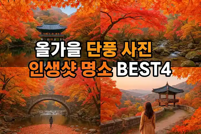 올가을 단풍 사진 인생샷 명소 BEST4