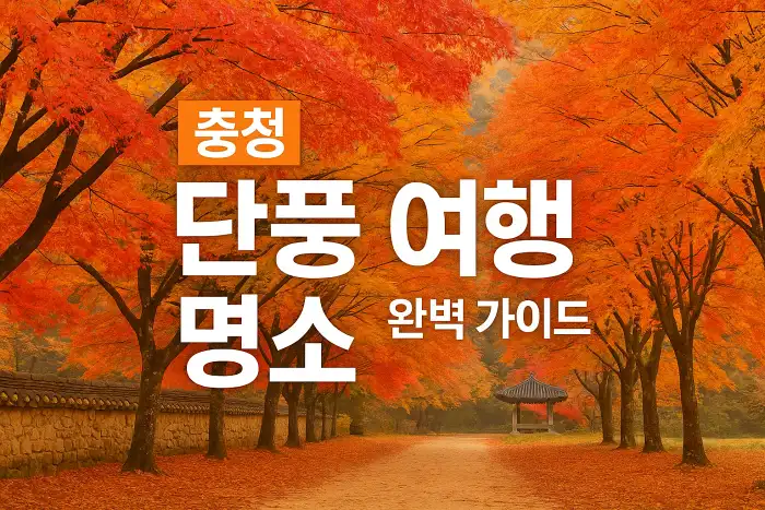 충청 단풍 여행 명소 완벽 가이드