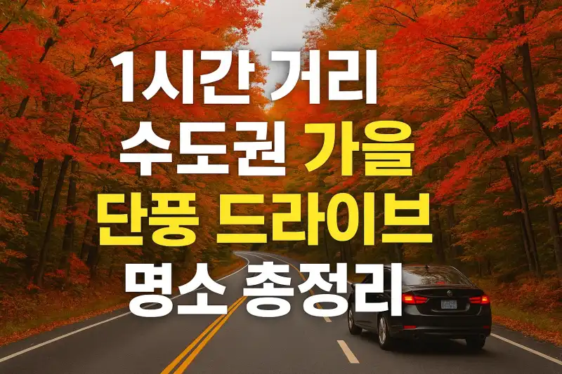 1시간 거리 수도권 가을 단풍 드라이브 명소 총정리
