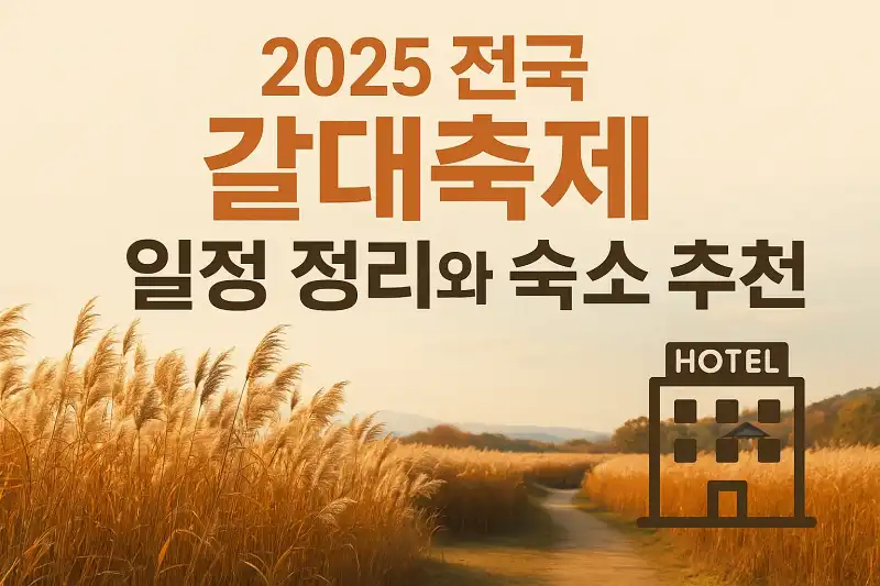 2025 전국 갈대축제 일정 정리와 숙소 추천