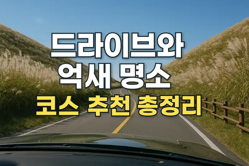 드라이브와 억새 명소 코스 추천 총정리
