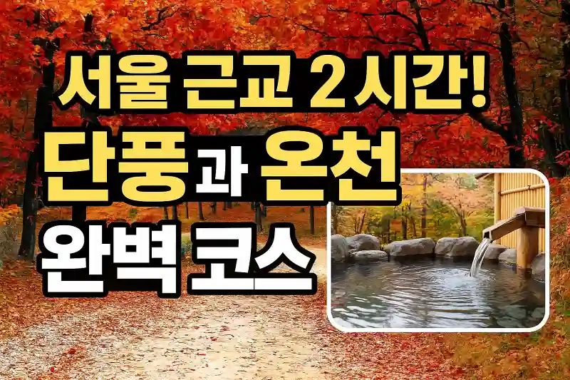 서울 근교 2시간! 단풍과 온천 완벽 코스