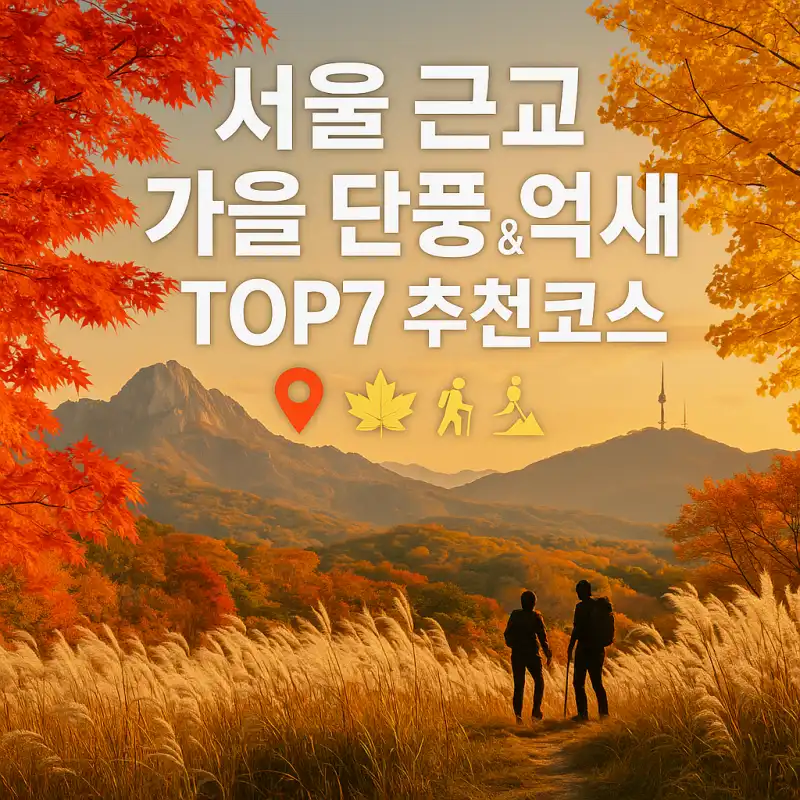 서울 근교 가을 단풍 & 억새 명소 TOP7 추천코스
