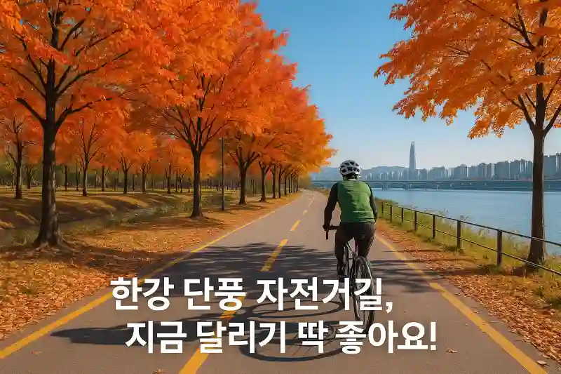 한강 단풍 자전거길, 지금 달리기 딱 좋아요!